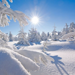 Verbundener Atem - Offene Atemgruppe