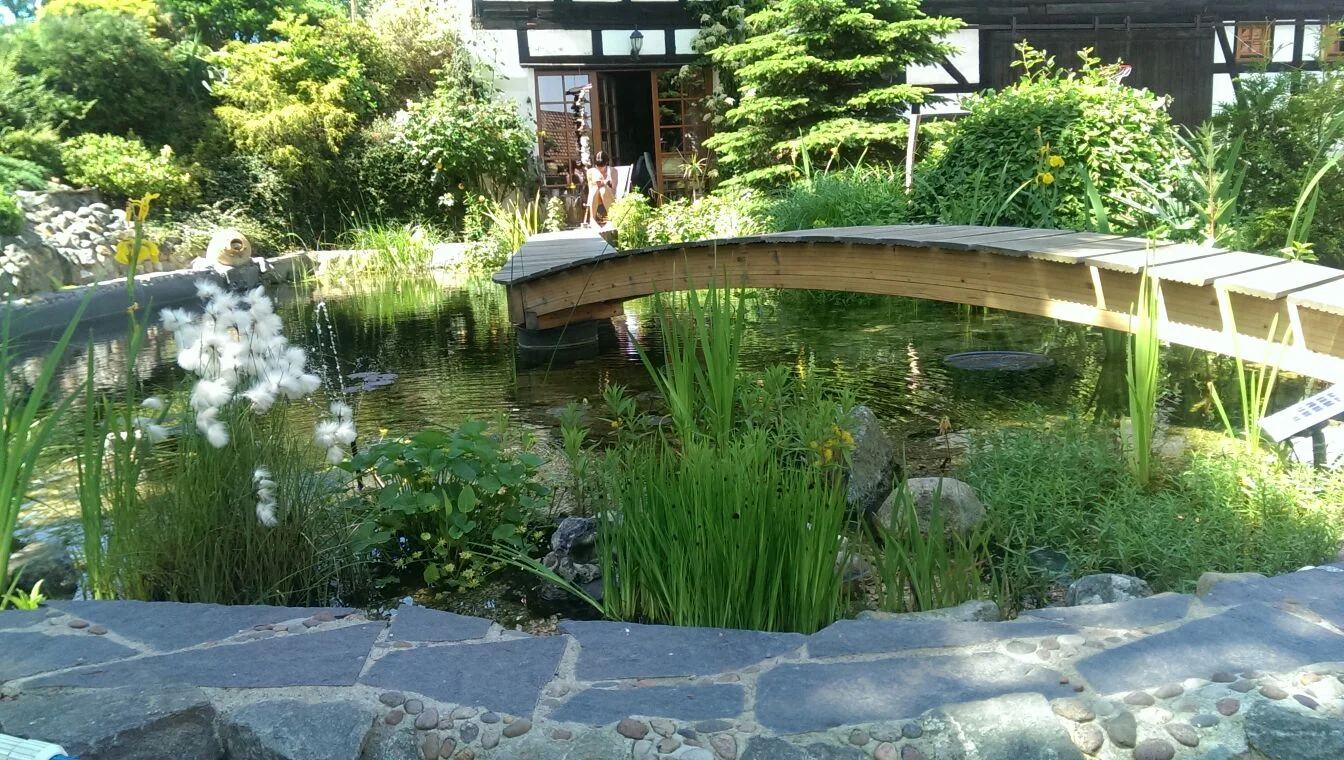 Zentrum für Traditionelle Osteopathie Zwickau